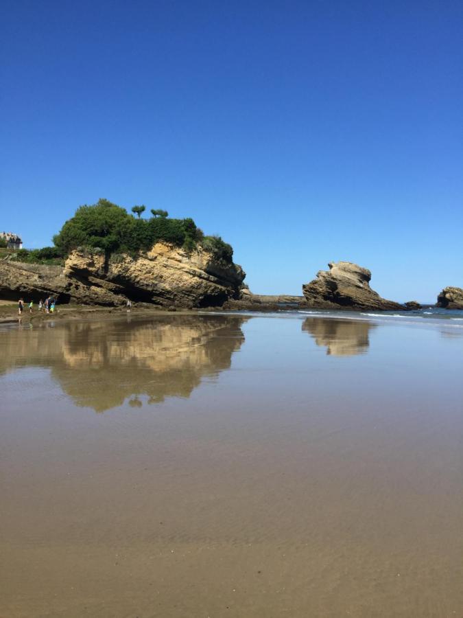 Charmant T2 Biarritz Centre ภายนอก รูปภาพ